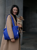 Everyday Bag Waterproof Blue
